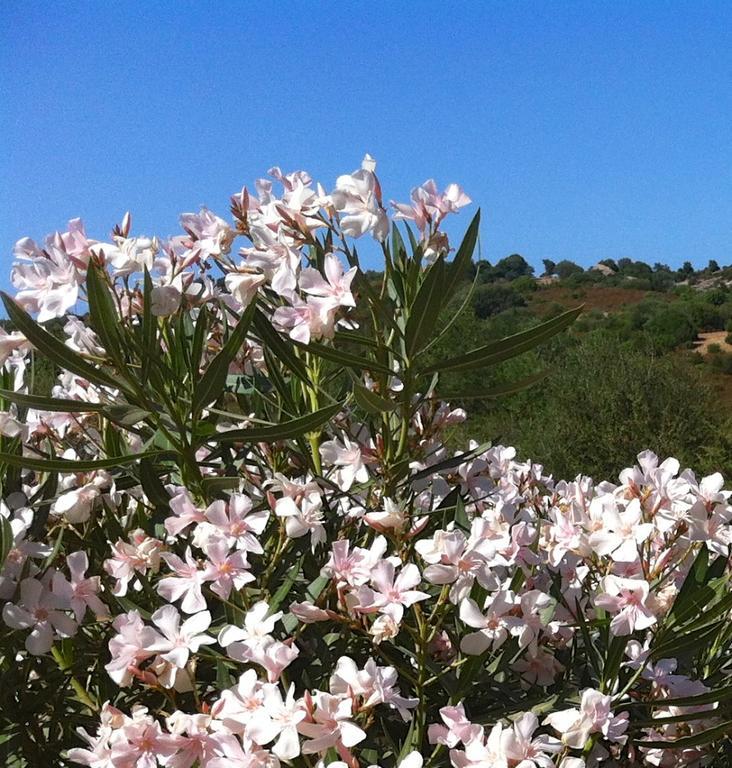 Willa Le Tre Pietre Baja Sardinia Zewnętrze zdjęcie